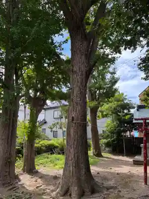 春日神社(神奈川県)