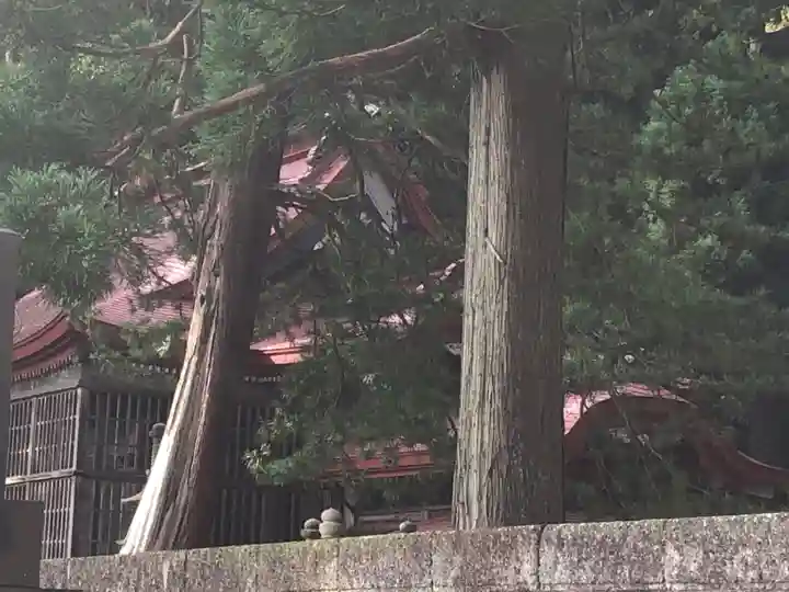 天徳寺(秋田県)