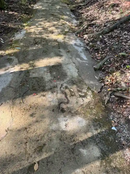 土佐神社の{uncategorized: "未分類", other: "その他", undefined: "問題あり", building: "その他建物", grave: "お墓", sacred_gate: "鳥居", guardian: "狛犬", statue: "像", buddha: "仏像", history: "歴史", nature: "自然", garden: "庭園", animal: "動物", pagoda: "塔", temizu: "手水舎", mountain_gate: "山門・神門", sanctuary: "本殿・本堂", subordinate: "末社・摂社", art: "芸術", scenery: "景色", jizo: "地蔵", ema: "絵馬", goshuin: "御朱印", omikuji: "おみくじ", items: "授与品その他", amulet: "お守り", goshuincho: "御朱印帳", eats: "食事", festival: "お祭り", votive_dance: "神楽", shichigosan: "七五三参", wedding: "結婚式", experience: "体験その他", initially: "初詣", around: "周辺", anti_infection: "感染症対策"}