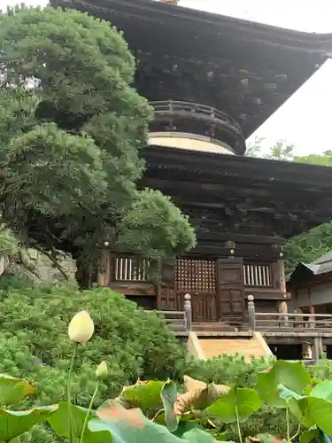 楽法寺（雨引観音）のその他建物