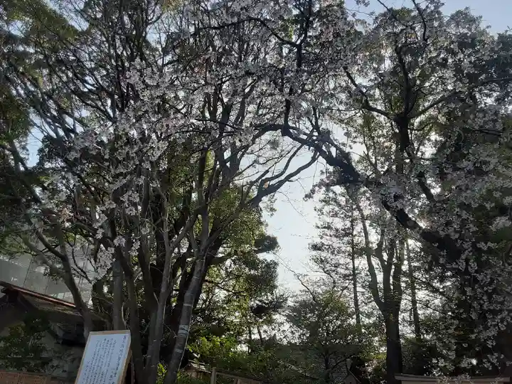 伊勢山皇大神宮(神奈川県)