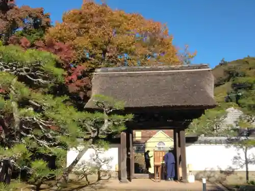 長壽寺（長寿寺）(神奈川県)