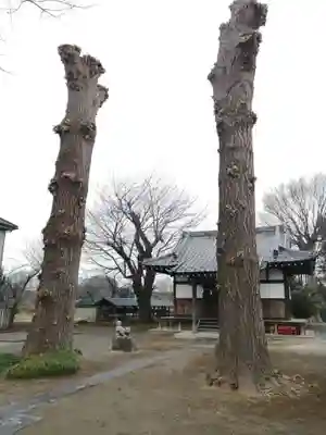 八坂神社の本殿・本堂