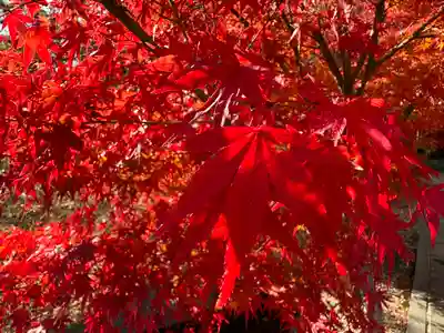 伊勢の国 四天王寺(三重県)