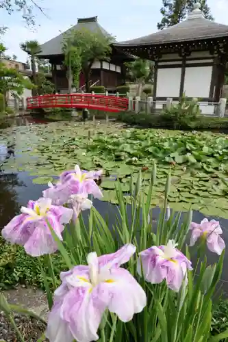 圓照寺(埼玉県)