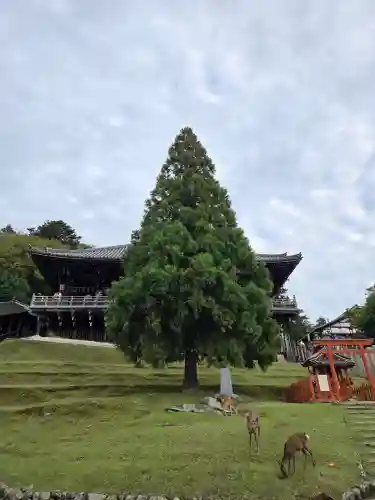 東大寺 二月堂(奈良県)