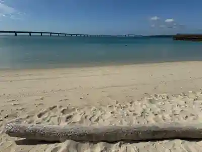 赤名宮の{uncategorized: "未分類", other: "その他", undefined: "問題あり", building: "その他建物", grave: "お墓", sacred_gate: "鳥居", guardian: "狛犬", statue: "像", buddha: "仏像", history: "歴史", nature: "自然", garden: "庭園", animal: "動物", pagoda: "塔", temizu: "手水舎", mountain_gate: "山門・神門", sanctuary: "本殿・本堂", subordinate: "末社・摂社", art: "芸術", scenery: "景色", jizo: "地蔵", ema: "絵馬", goshuin: "御朱印", omikuji: "おみくじ", items: "授与品その他", amulet: "お守り", goshuincho: "御朱印帳", eats: "食事", festival: "お祭り", votive_dance: "神楽", shichigosan: "七五三参", wedding: "結婚式", experience: "体験その他", initially: "初詣", around: "周辺", anti_infection: "感染症対策"}