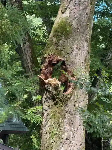 諏訪大社上社前宮(長野県)