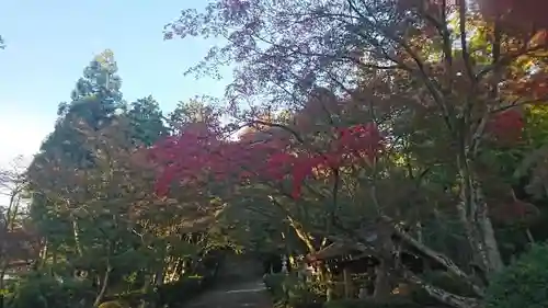 胡宮神社（敏満寺史跡）の自然