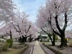 弘経寺の建物その他