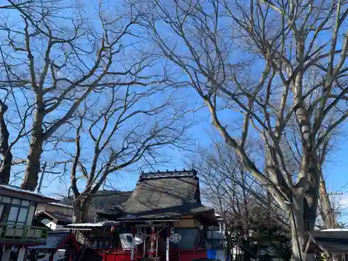 八坂神社の景色