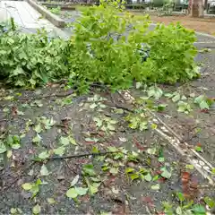 諫早神社（九州総守護  四面宮）(長崎県)