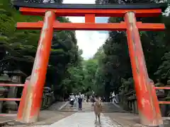 春日大社(奈良県)