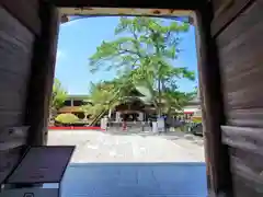 白山神社(新潟県)