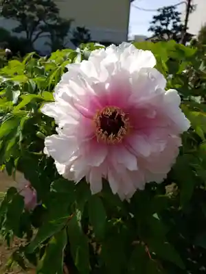 禅定院(東京都)