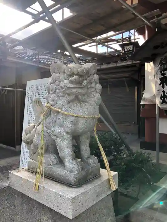 尾浜八幡神社の狛犬