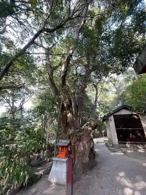 津八幡宮(三重県)