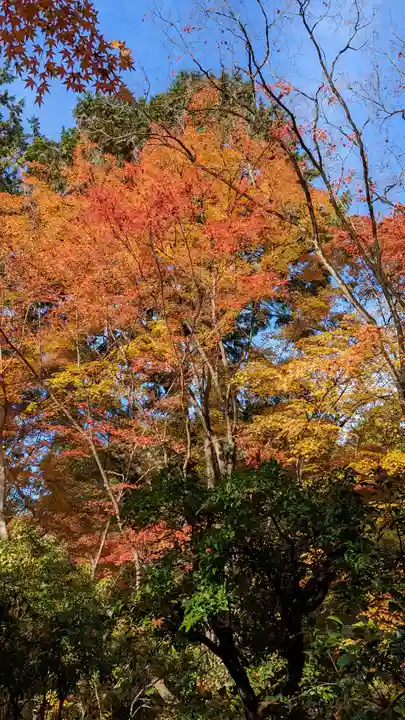 来迎院(京都府)