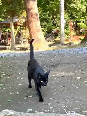 間々田八幡宮(栃木県)