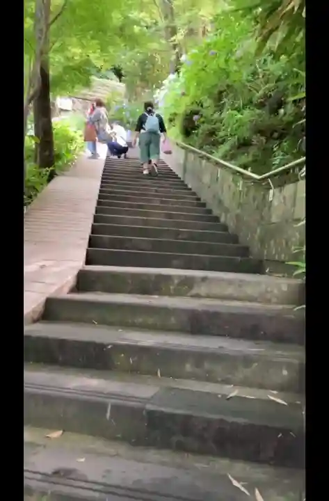 長谷寺(神奈川県)