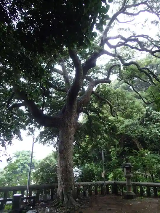 甘縄神明神社(甘縄神明宮)の庭園