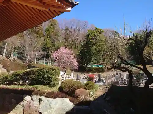 龍散寺の庭園