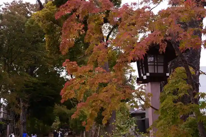 武蔵一宮氷川神社(埼玉県)