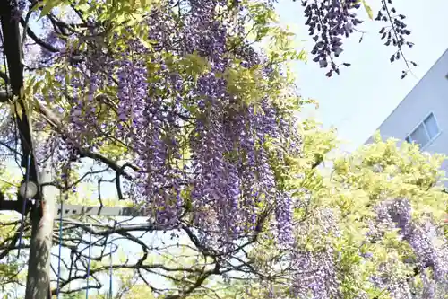 國領神社の自然