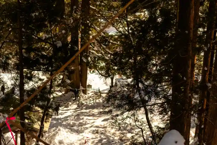 戸隠神社中社(長野県)