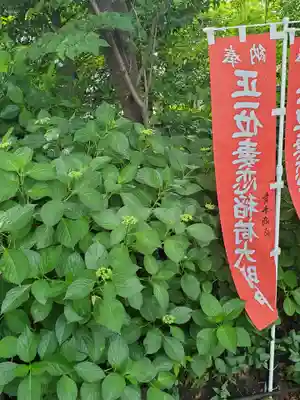 愛宕神社(福島県)