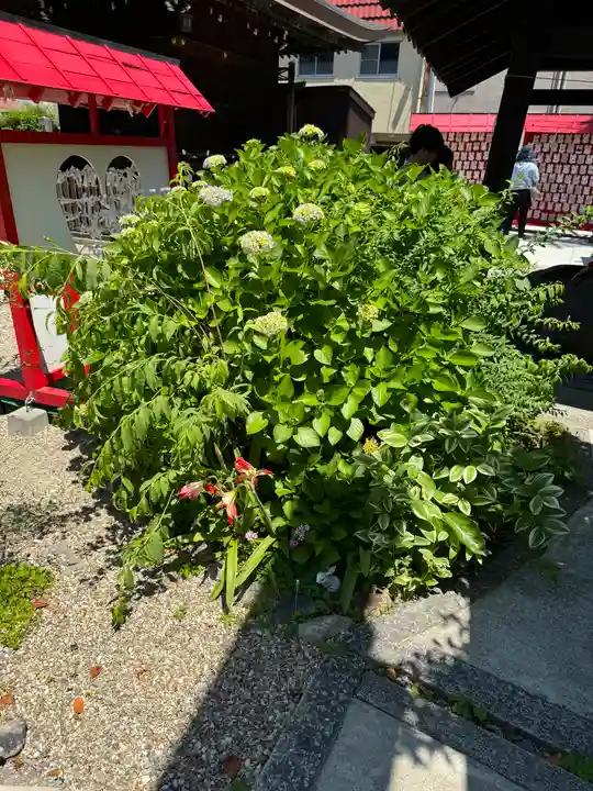 三輪神社(愛知県)