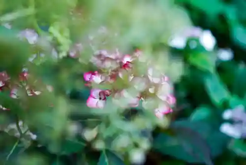 東大寺別院阿弥陀寺(山口県)
