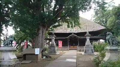 佐竹寺の本殿・本堂