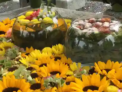 住吉神社の手水舎