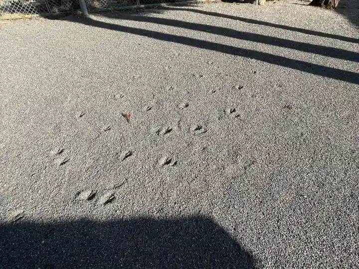 春日神社(滋賀県)