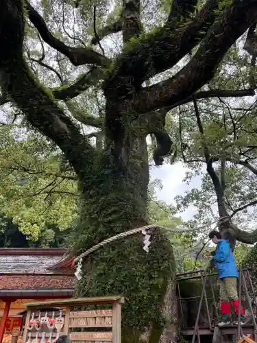 熊野那智大社の{uncategorized: "未分類", other: "その他", undefined: "問題あり", building: "その他建物", grave: "お墓", sacred_gate: "鳥居", guardian: "狛犬", statue: "像", buddha: "仏像", history: "歴史", nature: "自然", garden: "庭園", animal: "動物", pagoda: "塔", temizu: "手水舎", mountain_gate: "山門・神門", sanctuary: "本殿・本堂", subordinate: "末社・摂社", art: "芸術", scenery: "景色", jizo: "地蔵", ema: "絵馬", goshuin: "御朱印", omikuji: "おみくじ", items: "授与品その他", amulet: "お守り", goshuincho: "御朱印帳", eats: "食事", festival: "お祭り", votive_dance: "神楽", shichigosan: "七五三参", wedding: "結婚式", experience: "体験その他", initially: "初詣", around: "周辺", anti_infection: "感染症対策"}
