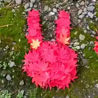 彌彦神社 (伊夜日子神社)(北海道)