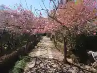 菊水寺のその他建物