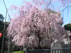 清水観音堂の庭園