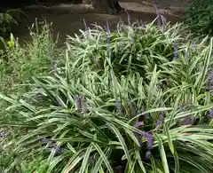 福井神社の自然