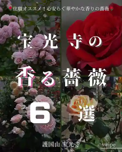 宝光寺(北海道)