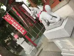 豊栄稲荷神社の狛犬