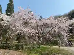 法善寺の自然