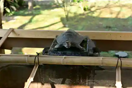 江島神社の手水舎