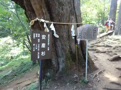 産安社（武蔵御嶽神社摂社）の自然