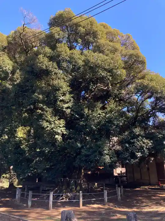 月讀神社(茨城県)