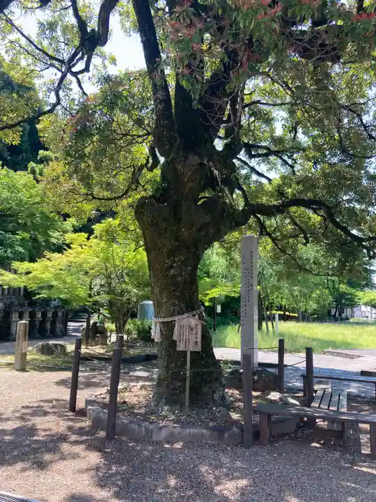 橿森神社(岐阜県)