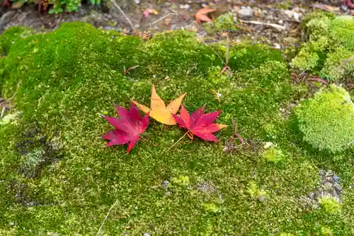 大原野神社(京都府)
