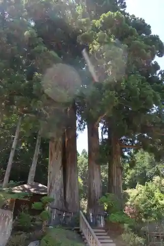 金剛三昧院(和歌山県)