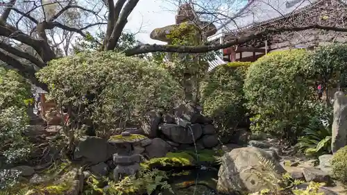 一心寺の庭園